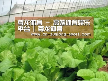 种植基地一