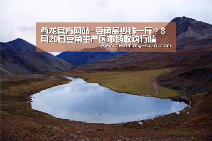 尊龙官方网站-豆角多少钱一斤?8月20日豆角主产区市场收购行情(图1) 尊龙官网