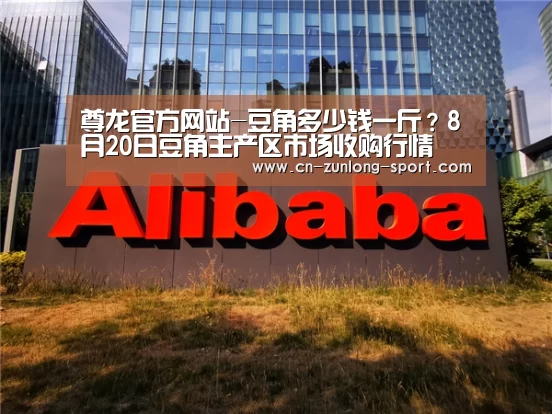 尊龙官方网站-豆角多少钱一斤?8月20日豆角主产区市场收购行情(图2) 尊龙官方网站