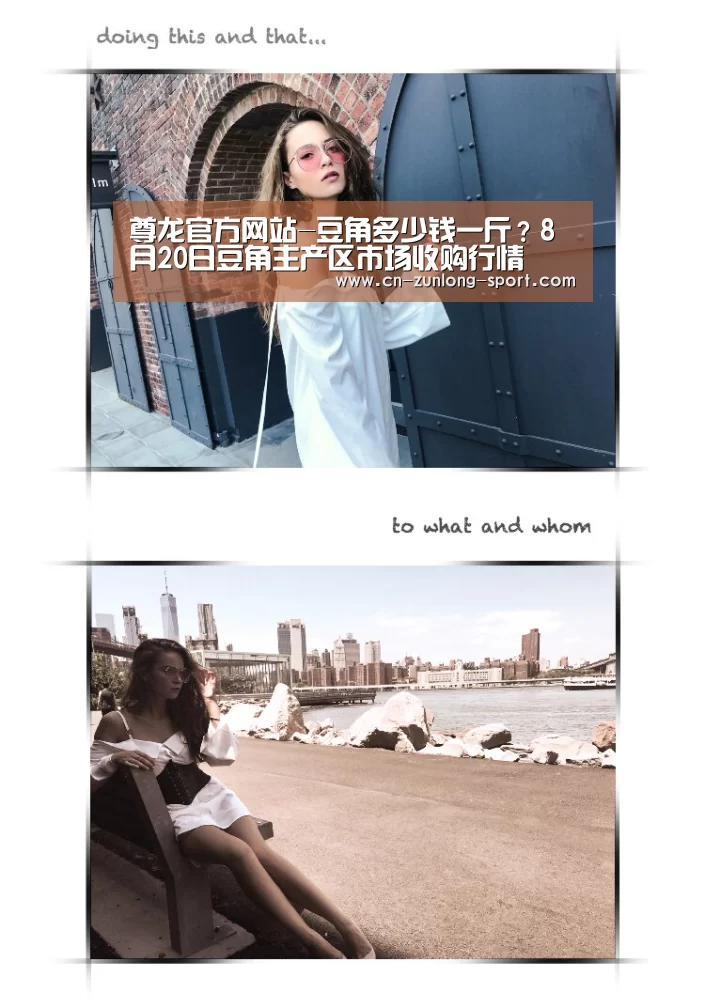 尊龙官方网站-豆角多少钱一斤?8月20日豆角主产区市场收购行情(图4) 尊龙app下载