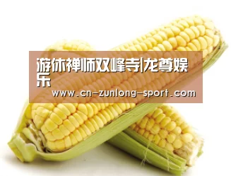 游休禅师双峰寺|龙尊娱乐(图2) 尊龙体育