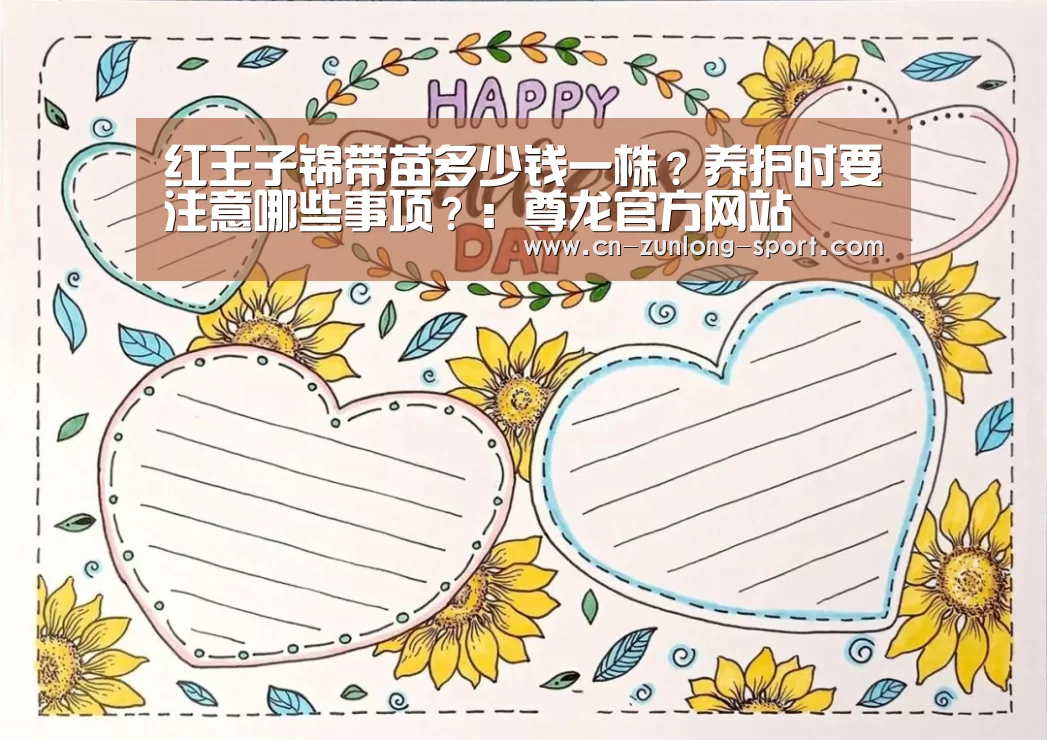 龙尊娱乐