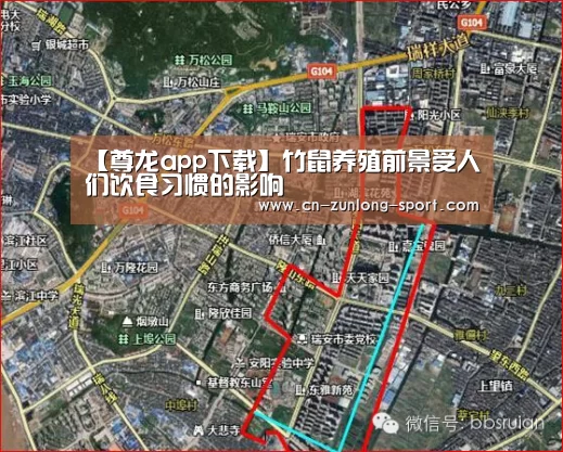 龙尊娱乐